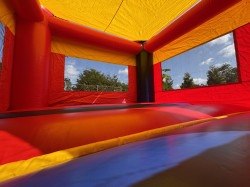 IMG 7742 1757935279 Twin