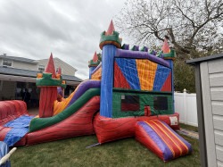 IMG 0813 1760210302 Jungle