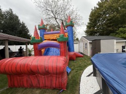 IMG 0814 1760210303 Jungle