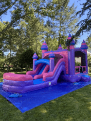 Royal Princess PURPLISH20DUAL20LANE20COMBO20 1771102802 Royal Princess